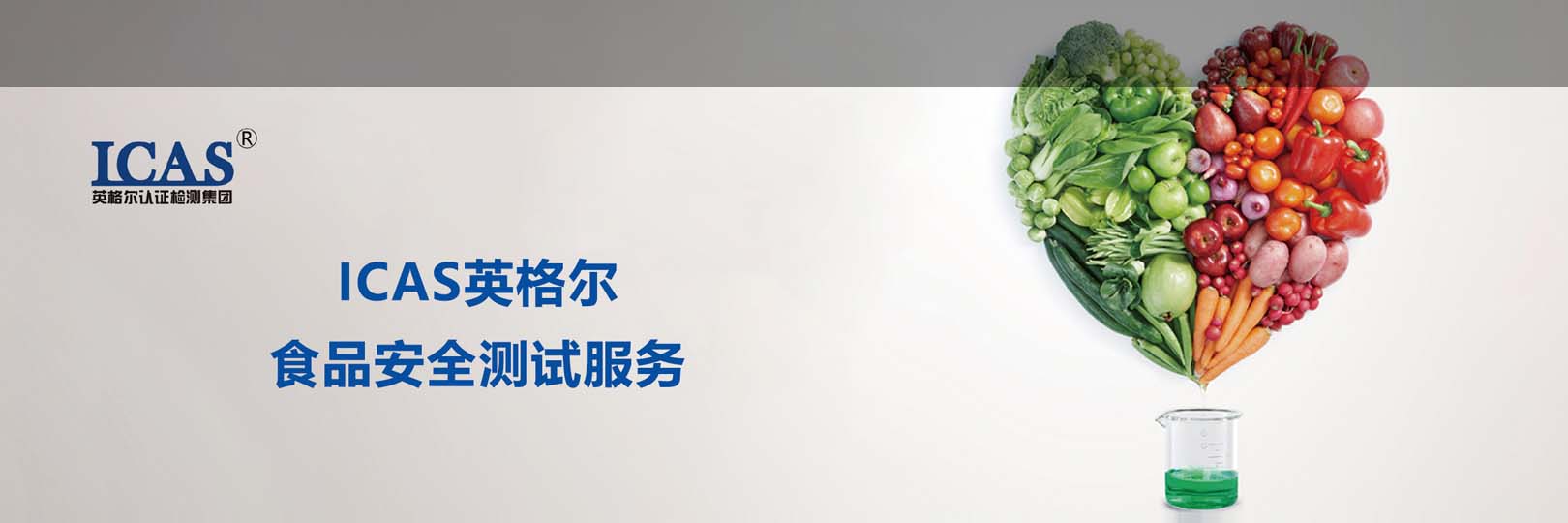 食品banner